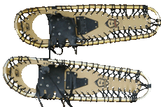 old snowshoes