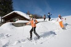 click here for more information about snowshoeing